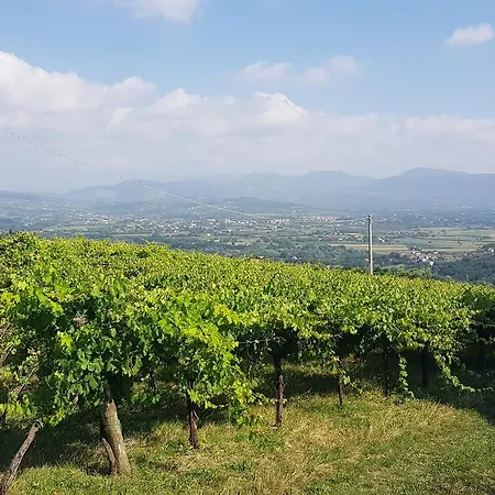 Aparthotel Lisandro Wine Caserta Castel Campagnano