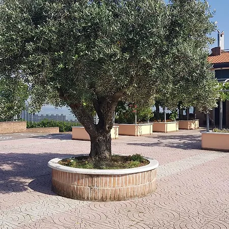 Lisandro Wine Caserta * Castel Campagnano